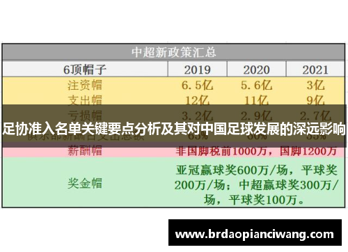 足协准入名单关键要点分析及其对中国足球发展的深远影响 足协准入名单关键要点分析及其对中国足球发展的深远影响